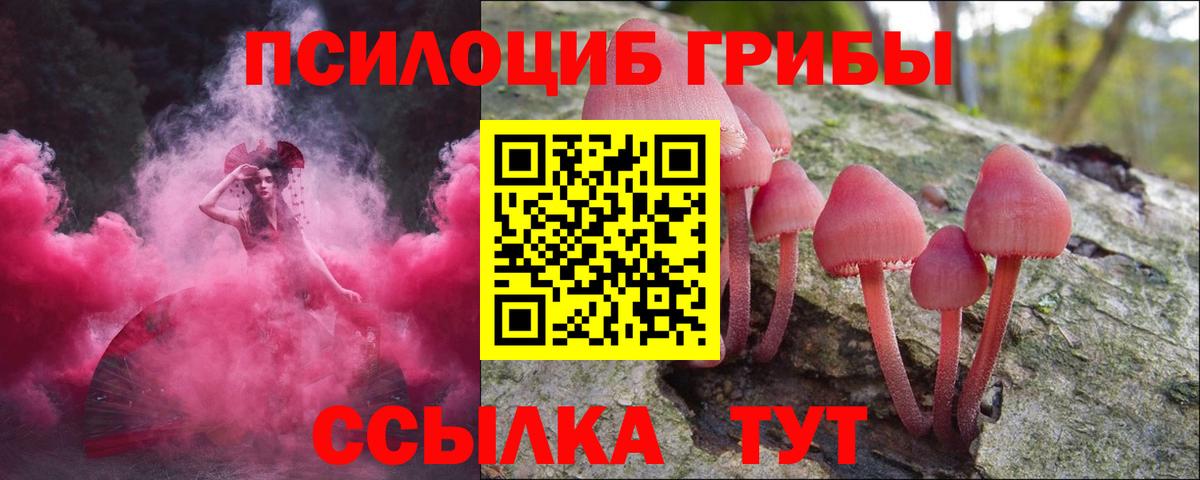 Псилоцибиновые грибы мухоморы Камышлов